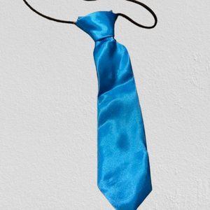 Aqua 7" Satin Tie   =PETS=  4161  NWT Boutique